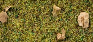 Sachet de 20 g Herbe, Pré de montagne 2.5 mm