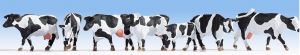 NOC15725 - 6 Vaches et 1 veau de couleur Blanche et Noir