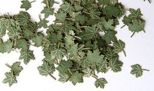 Boite d'imitation de feuilles d'érables vertes de 4mm pour maquette