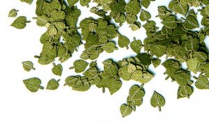 Boite d'imitation de feuilles de tilleul vertes de 3mm pour maquette