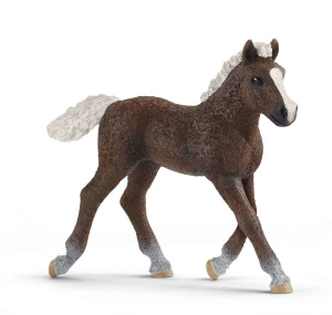 SHL13899 - Figurine de l'univers des chevaux - Poulain Forêt-Noire