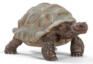 SHL14824 - Figurine de l'univers des animaux sauvages - Tortue géante