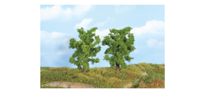HEK19101 - 2 Arbres de 14 cm – Poiriers