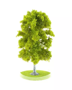 HEK19105 - Arbre de 18 cm – Bouleau