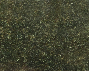 NOC08350 - Sachet de 20 g Herbe, sol de forêt de 2.5 mm