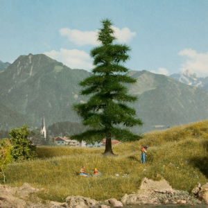 NOC21811 - Sapin Nordmann de 14.5 cm