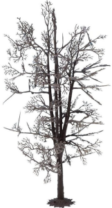 NOC22020 - Structure d'arbre de 18.5 cm - Tilleul